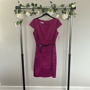 NWT Fuchsia Fitted Dress